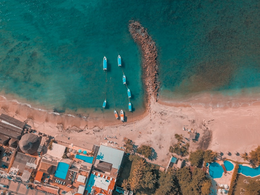 Nature-Based Coastal Protection